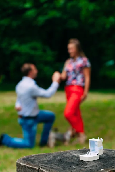 Homem fazendo proposta com anel de casamento na caixa de presente . — Fotografia de Stock