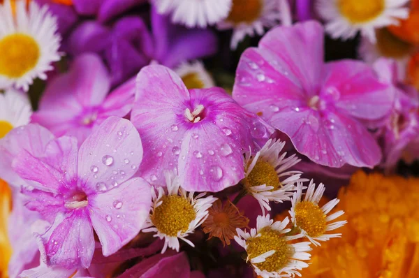 Bukiet z kolorowych kwiatów c — Zdjęcie stockowe