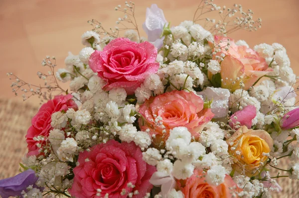Beautiful Roses — Stock Photo, Image