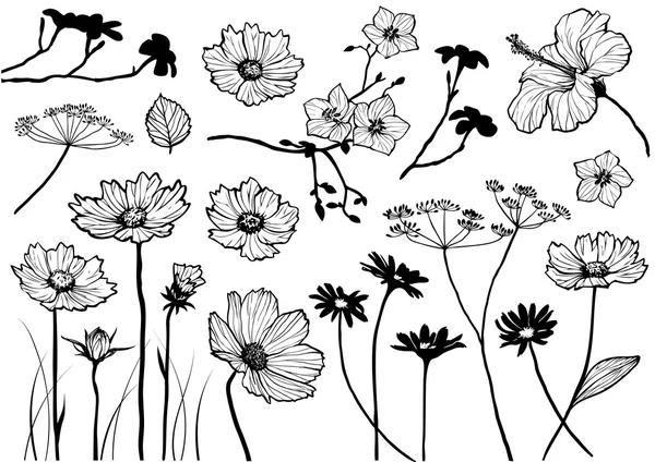 vektör çiçek öğeleri.