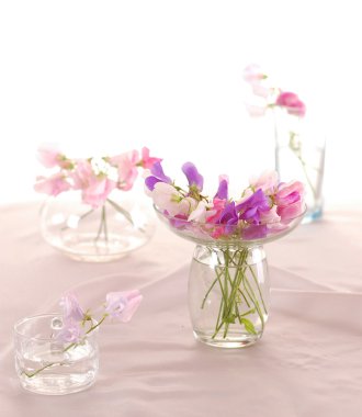 Tatlı bezelye çiçeği