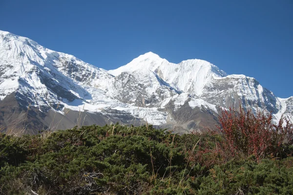 Himalaya bergen — Stockfoto