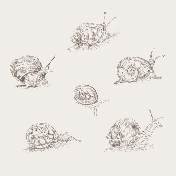 Zestaw ręcznie rysowanych ślimaków — Wektor stockowy