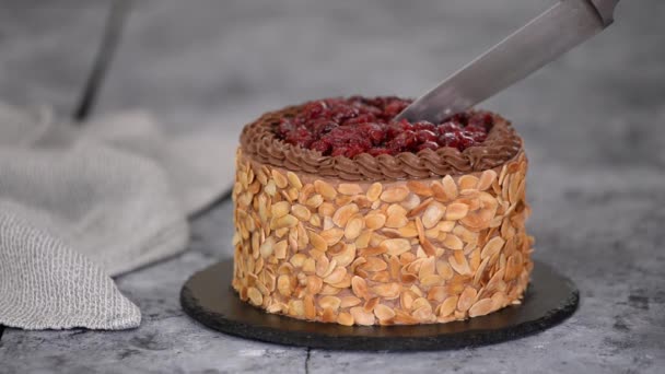 Cortar un pastel de cereza de chocolate con hojuelas de almendras. — Vídeo de stock