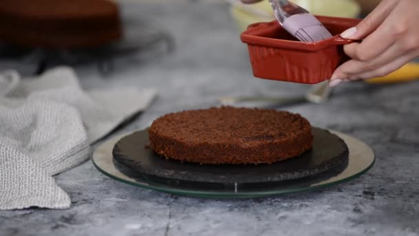 Confiseur femelle méconnaissable main imbibe gâteau éponge avec du jus sucré à l'aide d'une brosse de cuisson au silicium à la cuisine, fermer. — Video