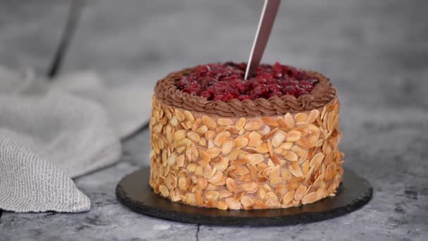 Cortar un pastel de cereza de chocolate con hojuelas de almendras. — Vídeos de Stock