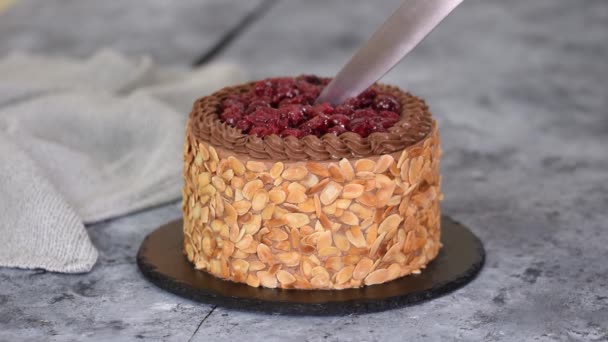 Schneiden Einer Schokoladenkirschtorte Mit Mandelflocken — Stockvideo