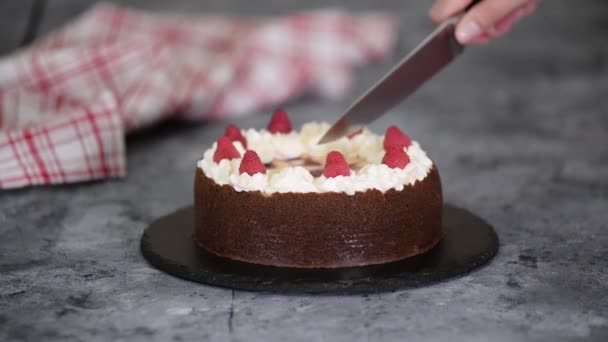 Découpe Maison Chocolat Framboise Gâteau Fromage — Video