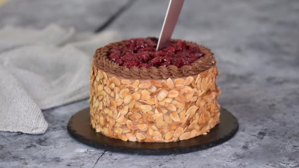 Tagliare una torta di ciliegie al cioccolato con scaglie di mandorle. — Video Stock