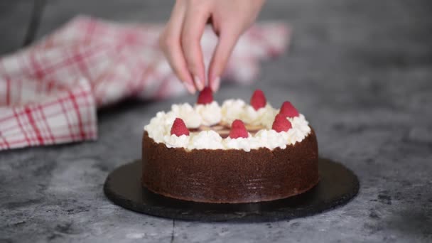 Chef decorating a cheesecake with raspberries. — Stock Video