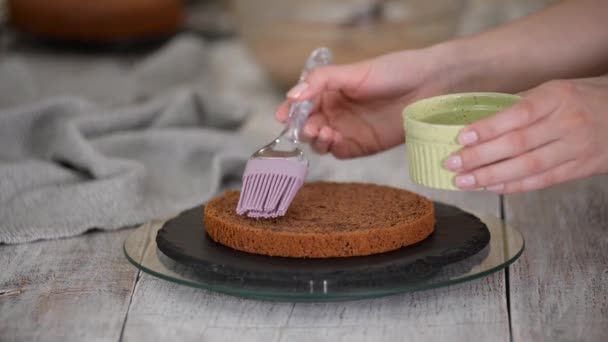 Iemand doordrenkt met siroop door borstel biscuit cake. — Stockvideo