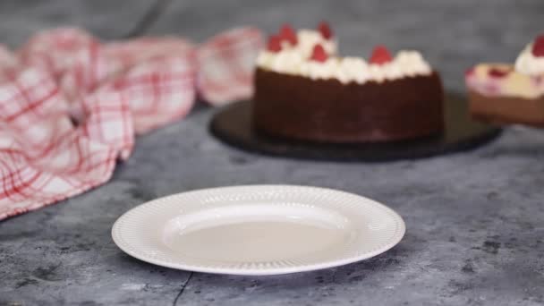 Pièce de gâteau au fromage aux framboises au chocolat avec crème à fouetter. — Video