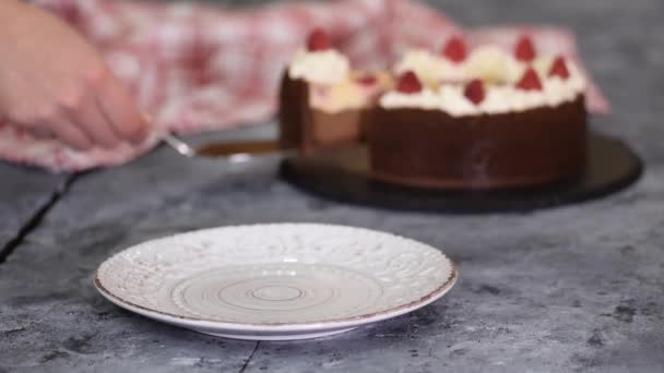 Kousek čokoládového malinového tvarohového koláče se šlehačkou. — Stock video