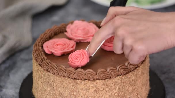 Weibliche Hände dekorieren selbst gebackenen Kiewer Kuchen mit Sahneblumen. — Stockvideo