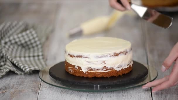 Chefs pâtissiers mains faisant gâteau aux carottes avec crème. — Video