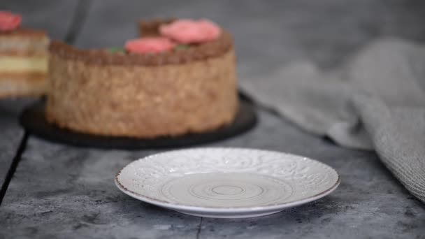 Domowej roboty ciasto kijowskie, dacquoise ciasto ze śmietaną i orzechami laskowymi. — Wideo stockowe