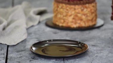 Kirazlı lezzetli bir parça çikolatalı pasta..