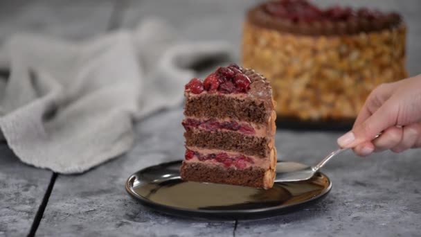 Um pedaço de bolo de chocolate delicioso com cereja. — Vídeo de Stock
