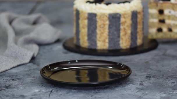 Kawałek pysznego ciasta z suszonymi śliwkami, orzechami i makiem. — Wideo stockowe