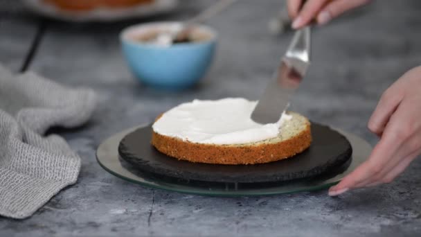 Pastelero, hace un pastel en capas con ciruela y crema batida. — Vídeo de stock