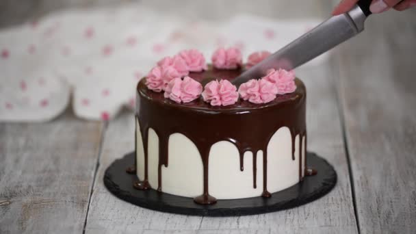 特写用小刀把漂亮的蛋糕切成薄片. — 图库视频影像