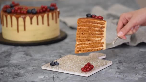 Шматочок шару карамельного торта з вершками та свіжими ягодами . — стокове відео