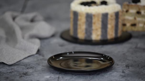 Piece of delicious cake with prunes, nuts and poppy seeds. — Stock Video