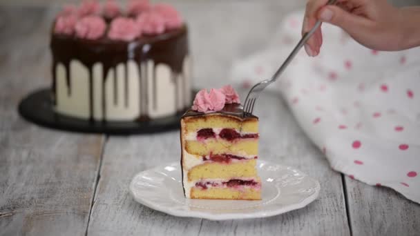 Kousek domácího vanilkového třešňového dortu se smetanou. — Stock video