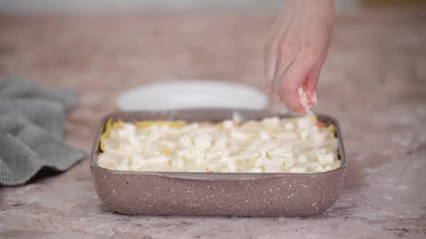 Posypać lasagne z serem mozzarella. — Wideo stockowe