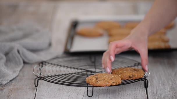 Freshly baked oatmeal cookies with nuts raisins on cooling rack. — Stock Video