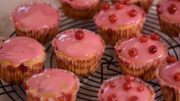 Женщина украсила вкусные кексы ягодами красной смородины. — стоковое видео