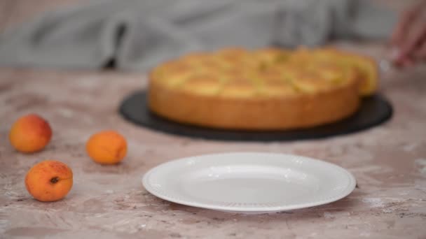 Кусок Свежего Абрикосового Пирога Корочкой — стоковое видео