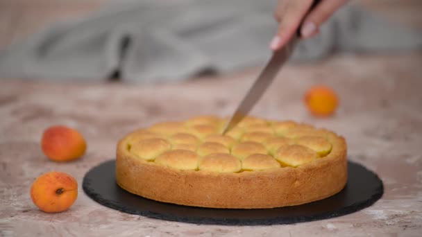 Женщина режет абрикосовый пирог с корочкой. Свежий абрикосовый пирог. — стоковое видео