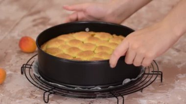 Taze pişmiş kayısı kısa kabuklu turta. Tatlı yemek..