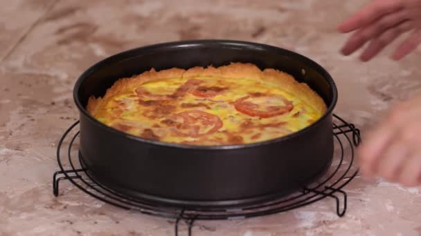 Tarte maison fraîchement cuite à la tomate et au bacon. Tarte salée maison. — Video