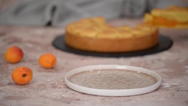 Morceau de tarte courte abricot frais. — Video