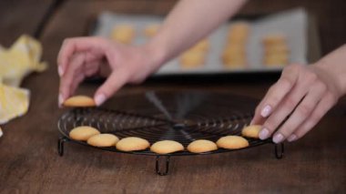 Pasta şefi kadın soğutucuya küçük vanilyalı kurabiyeler koyuyor..