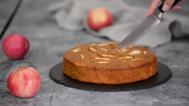 Coupe Maison Gâteau Aux Pommes Caramel Pâtisseries Automne — Video