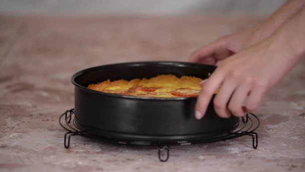 Torta di pomodoro e pancetta fatta in casa. Torta salata fatta in casa. — Video Stock