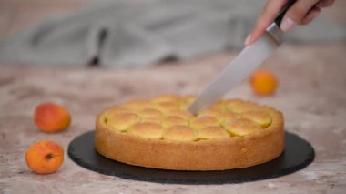 Kayısı kısayol turtası kesen bir kadın. Taze kayısı turtası..