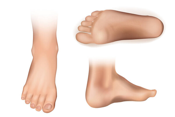 Collection of bare human sole arranged in different poses isolated on white background. Front, side, back view.