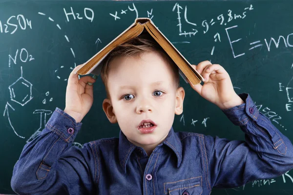 Funny portrait clever pupil boy on school board background