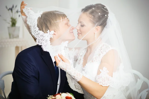 Noiva e noivo beijando sob o véu — Fotografia de Stock