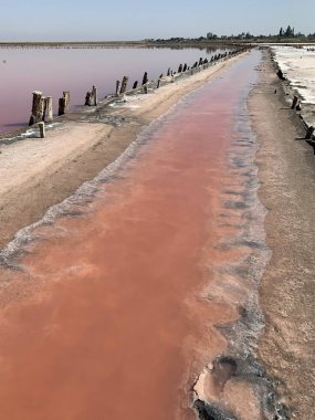 Pembe suyu olan güzel bir tuz gölü. Yazın pembe göl manzarası çok güzel.