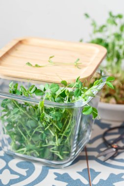 Tohumlu ve köklü bezelye mikroçerezleri. Bezelye tohumu. Mikro yeşillikler serpiyor. Evde tohum yetiştirme. Vejetaryen ve sağlıklı beslenme konsepti. Yeşilleniyorlar. Yeşil yaşam konsepti. Organik yiyecekler.