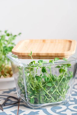 Tohumlu ve köklü bezelye mikroçerezleri. Bezelye tohumu. Mikro yeşillikler serpiyor. Evde tohum yetiştirme. Vejetaryen ve sağlıklı beslenme konsepti. Yeşilleniyorlar. Yeşil yaşam konsepti. Organik yiyecekler.
