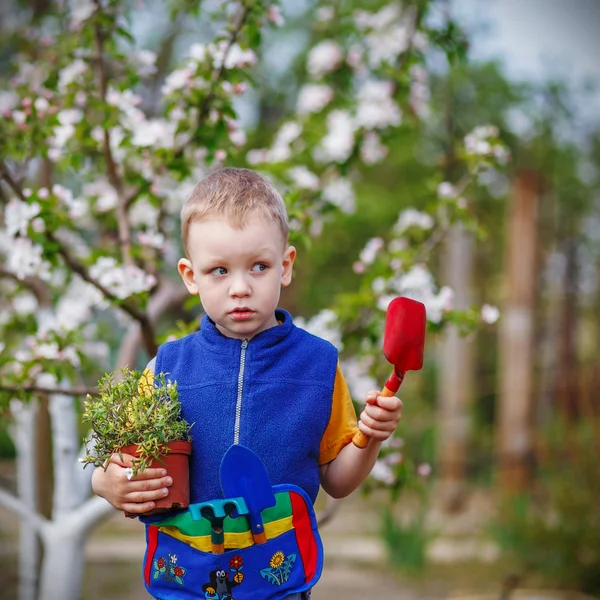 Bonito menino loiro plantando e jardinando flores em sarda — Fotografia de Stock