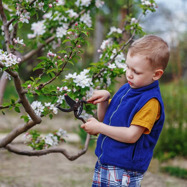 Маленький хлопчик працює на весняному саду Стокове Фото