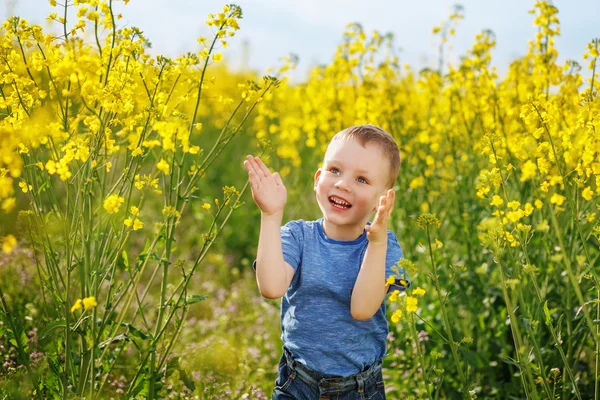 Little boy jumping and clapping and having fun among the bright — Stock Photo, Image