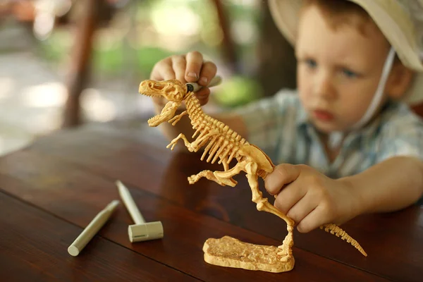 Мальчик хочет быть археологом. — стоковое фото
